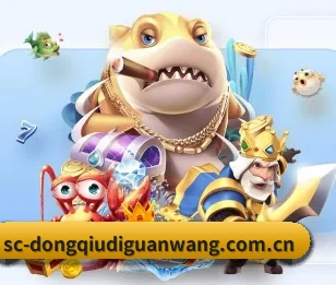 懂球帝的故事(dqd)